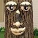 Tree Trunk Face