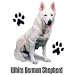 White German Shepherd Adult T-Shirt