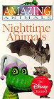 Amazing Animals - Nighttime Animals by Dorling Kindersley Video