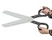 Giant Scissors
