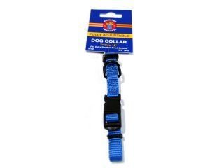Adjustable Nylon Dog Collar - Berry Blue - 3/8 in. x 7 in. to 12 in.