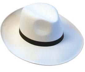 Micheal Jackson Hat!