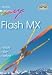 Flash MX. Leicht - klar - sofort
