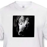 Black Dachshund Portrait - Toddler T-Shirt (3T)