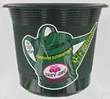 EEZY-GRO PLANTER 10 GREEN
