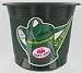 Self Watering Planter: 12 in - 2 pk (green color)