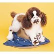 Plush Oglivy Springer Spaniel Stuffed Dog 16"