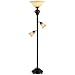 Bronze Tortoise Shell Font Torchiere with Reading Lights