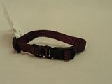 Hamilton Fits All 3/8 Adjustable Nylon Dog Collar, Wine, X-Small (7-12 in)