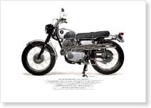 SEEVERT: 1962 ホンダ（Honda） Dream CL72 Scrambler