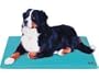 Canine Cooler Medium
