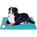 Canine Cooler Medium