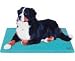 Canine Cooler Medium