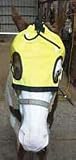 Thermotex Infrared TMJ Equine Hood