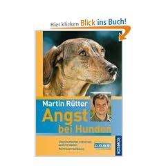 Angst bei Hunden: Unsicherheiten erkennen und verstehen, Vertrauen aufbauen