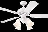 Monte Carlo 5WF42WH Weatherford II 42-Inch 5-Blade Outdoor Ceiling Fan with White ABS Blades, White