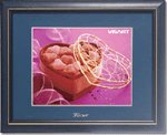 Visart AlbumTV Classical Series - digital photo frame ( YC1511BS-301-US )