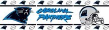 Carolina Panthers 5