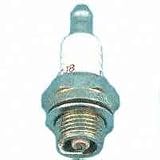 Champion Spark Plug Shop 24 Pack CJ8