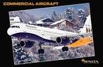 Commercial Aircraft 2010 Deluxe Wall Calendar