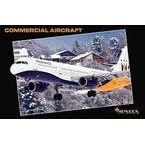 Commercial Aircraft 2010 Deluxe Wall Calendar