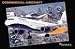 Commercial Aircraft 2010 Deluxe Wall Calendar