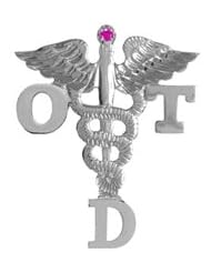 NursingPin - Doctor of Occupational Therapy OTD Ruby Graduation Pin in Silver