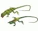 Kitchen & Housewares : Critter/Lizard Magnets 2-pc Set