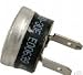 Jandy Laars Heater High-Limit Switch 150  F R0023000