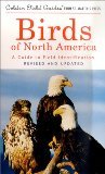 A Guide to Field Identification: Birds of North America