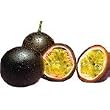 Dr Smoothie Forbidden Fruit (Guava and Passion Fruit) 100% Crushed Fruit Smoothie Concentrate
