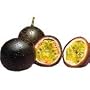 Dr Smoothie Forbidden Fruit (Guava and Passion Fruit) 100% Crushed Fruit Smoothie Concentrate