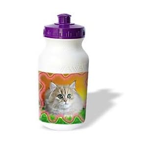 Cats - Cute Kitten - Water Bottles