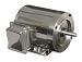 Dayton 6WY29 Motor, 1/3 HP, Washdown