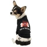 Dog Blinking Tee Large - Pet Shirt