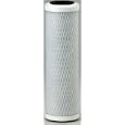 WaterFilters NET EP5 10 WF Carbon Block Filter