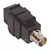 Impact Acoustics - Balun adapter - BNC (F) - RJ-45 (F) - UTP - black