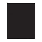 Peacock 5394-1 Premium Coated Poster Board (5394-1)