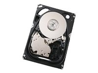 Hitachi Ultrastar 15K300 - Festplatte - 300GB - intern - 3,5 - Ultra320 SCSI - 15000 rpm - Puffer: 16MB (HUS153030VL3800)