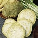 SUTTONS SEEDS: Celeriac Monarch Seeds (200 seeds)