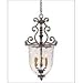 Savoy House Lighting - 7-3006-3-8 - St. Laurence Pendant - New Tortoise Shell with Si...
