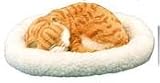 Pet Nap Sleeping Cat - Breathing Plush Orange Kitten [Toy]