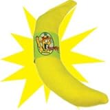 Picture Yeowww! 100% Organic Catnip Toy Assortment (banana, cigar, pumpkin, candy cane)