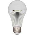 Nichia Series LED 60 Watt Replacement Bulb - Warm White