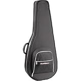 Road Runner Polyfoam Classical Guitar Case Road Runner Polyfoam Classical Guitar Case