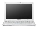 Samsung NC-20 anyNet 12,1 Zoll WXGA Netbook (VIA Nano U2250 1,3GHz, 1GB RAM, 160GB HDD, VIA Chrome 9 HC3, XP Home) weiß