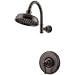 Tools & Hardware : Price Pfister Ashfield R89-7YPZ Oil Rubbed Bronze Shower Fixture