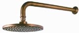Santec 10 rain head 70802739 Old Copper