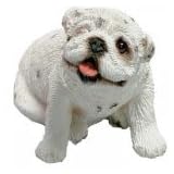Sandicast Bulldog Peepers - white