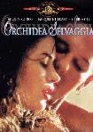 Orchidea Selvaggia